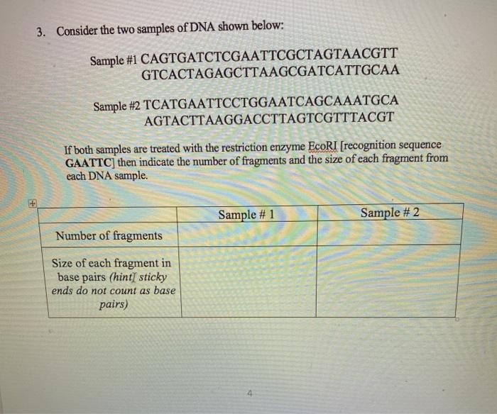 Solved 3. Consider the two samples of DNA shown below: | Chegg.com