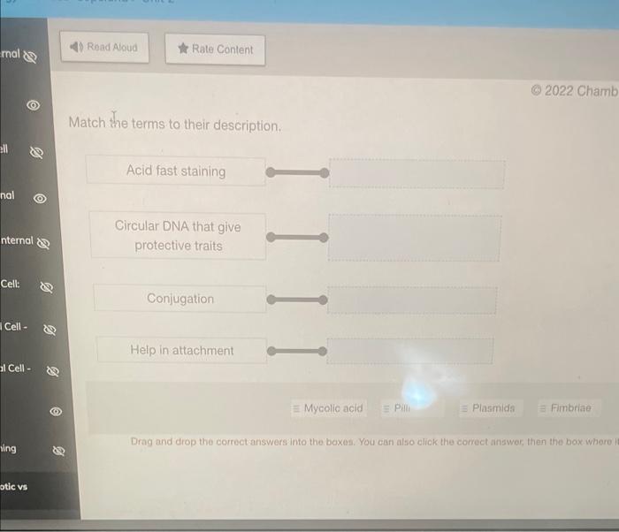 Solved Match the terms to their description. Drag and drop | Chegg.com