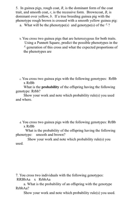 Solved 5. In guinea pigs, rough coat, R, is the dominant | Chegg.com