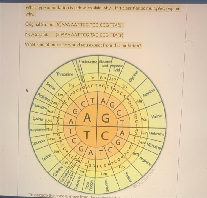 Solved What type of mutation is below, explain why... If it | Chegg.com