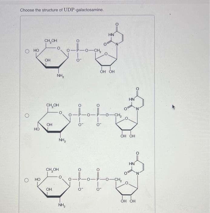 Choose the structure of UDP-galactosamine.