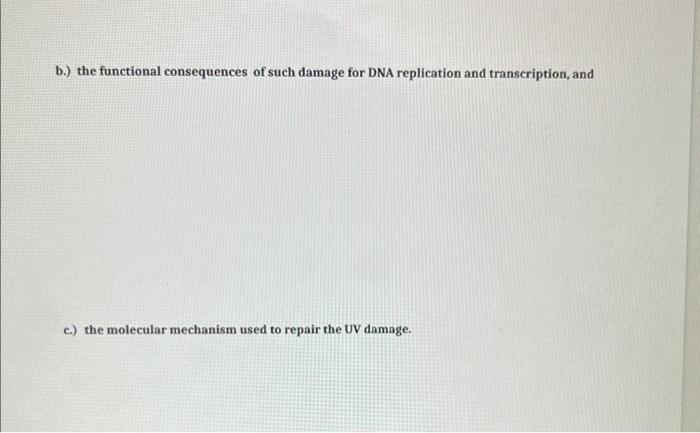 Solved a.) UV light damages DNA, b.) the functional | Chegg.com