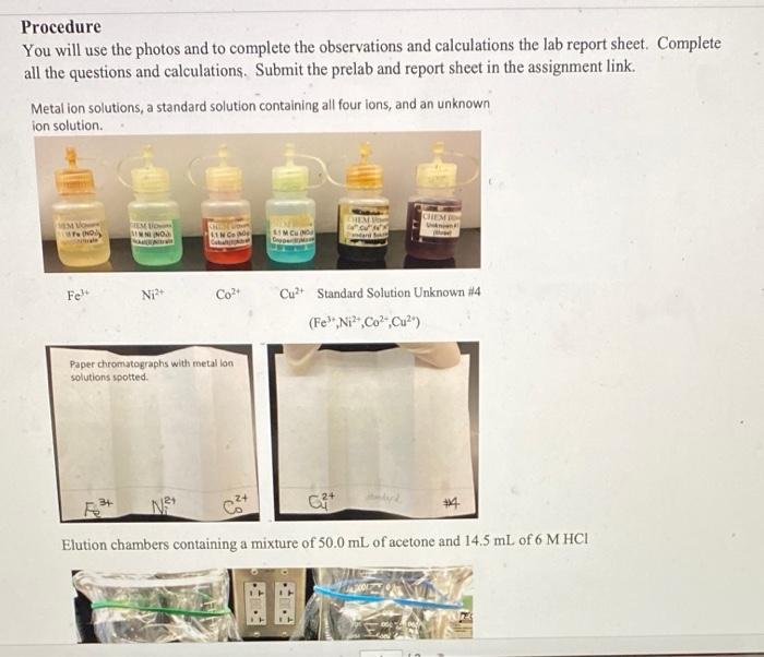 Solved Paper Chromatography of Metallons NAME PARTNER'S NAME | Chegg.com