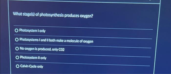 Solved What stage(s) of photosynthesis produces oxygen?What | Chegg.com