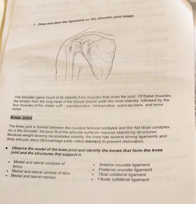 Solved Draw and label the ligaments on the shoulder joint | Chegg.com