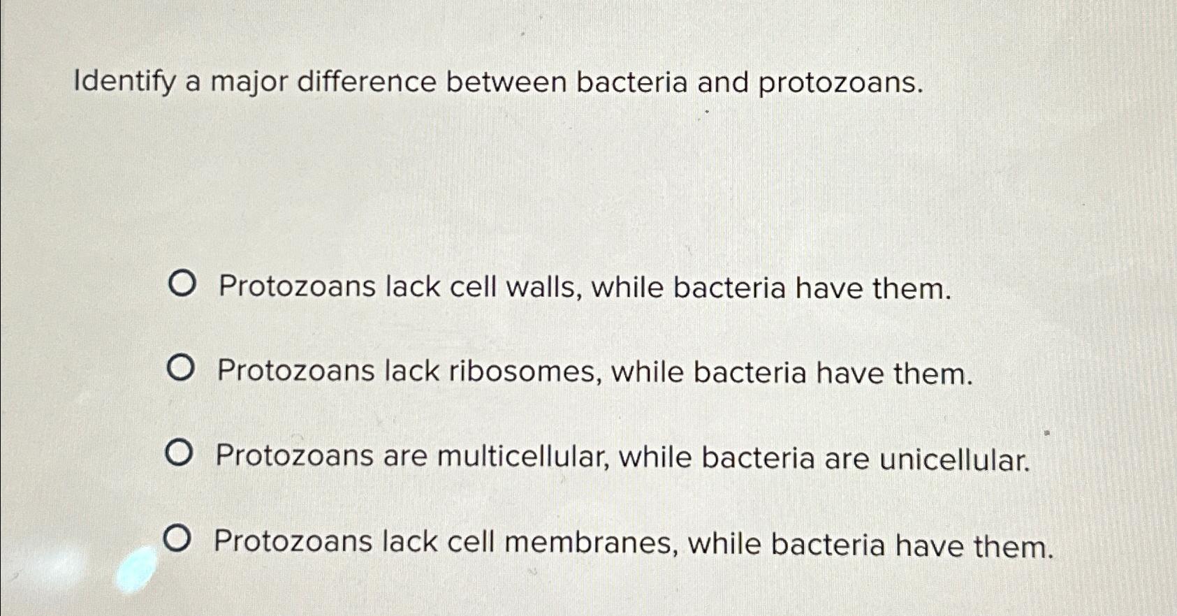 Solved Identify a major difference between bacteria and | Chegg.com