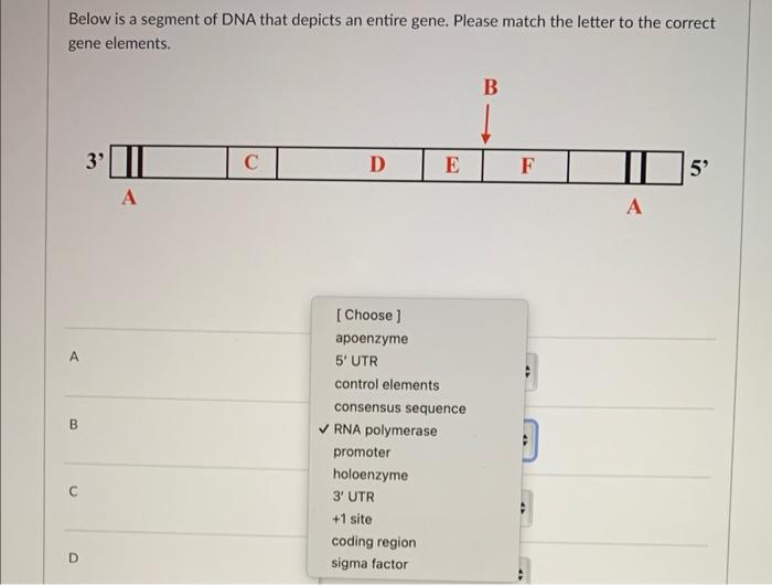 what-are-the-5-elements-of-a-letter-leia-aqui-what-are-the-elements