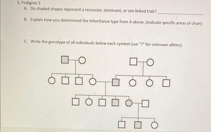 Solved 5. Pedigree 5 A. Do shaded shapes represent a | Chegg.com