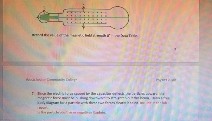 Solved Record the value of the magnetic field strength B in | Chegg.com