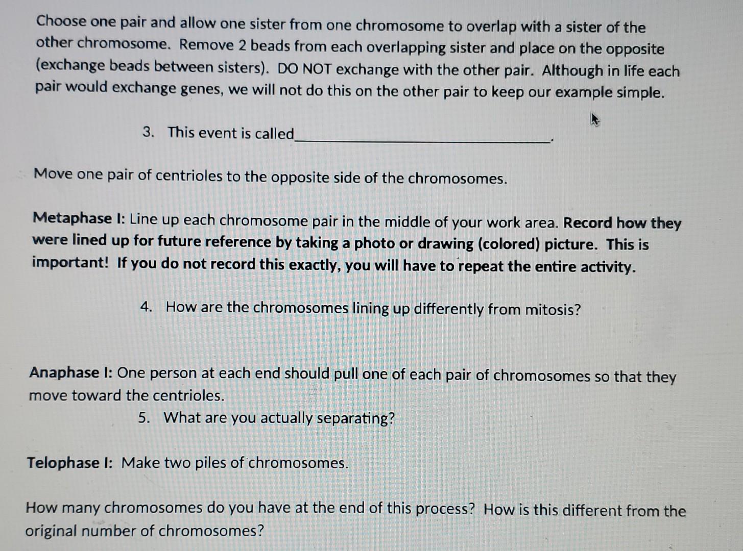 Activity 3 Using Pop Beads to Demonstrate Meiosis