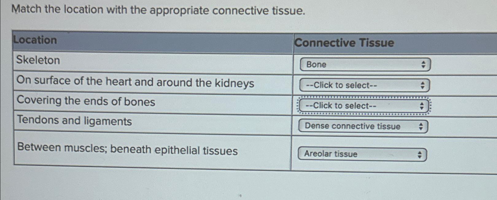 Solved Match the location with the appropriate connective