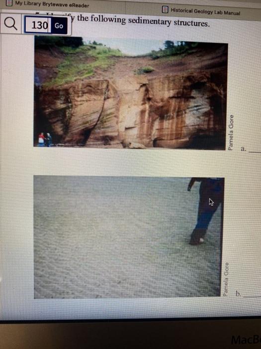 Solved E My Library Brytewave eReader Historical Geology Lab