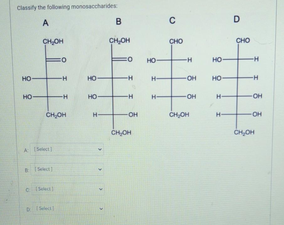 Solved Which of the following best describes the | Chegg.com