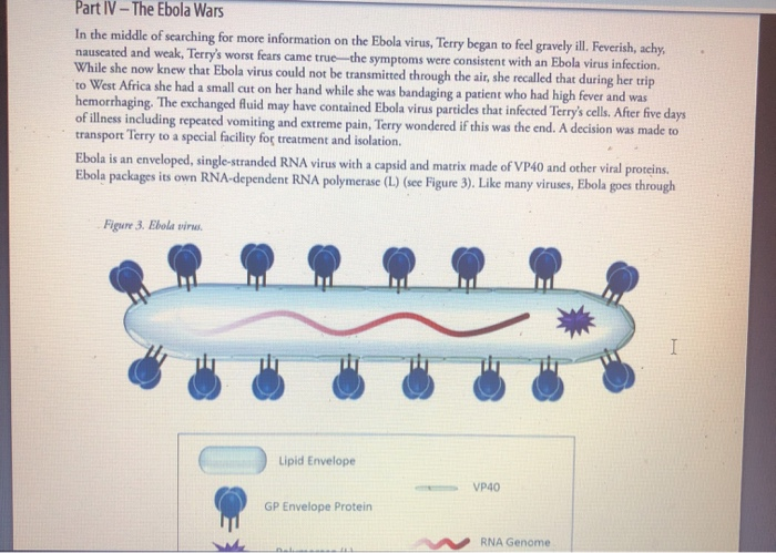 solved-part-iv-the-ebola-wars-in-the-middle-of-searching-chegg