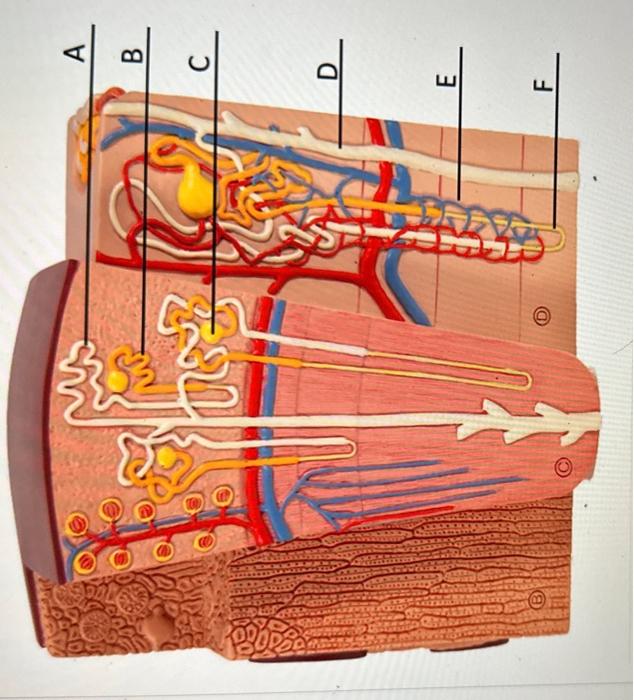 Solved could you help me with these? | Chegg.com