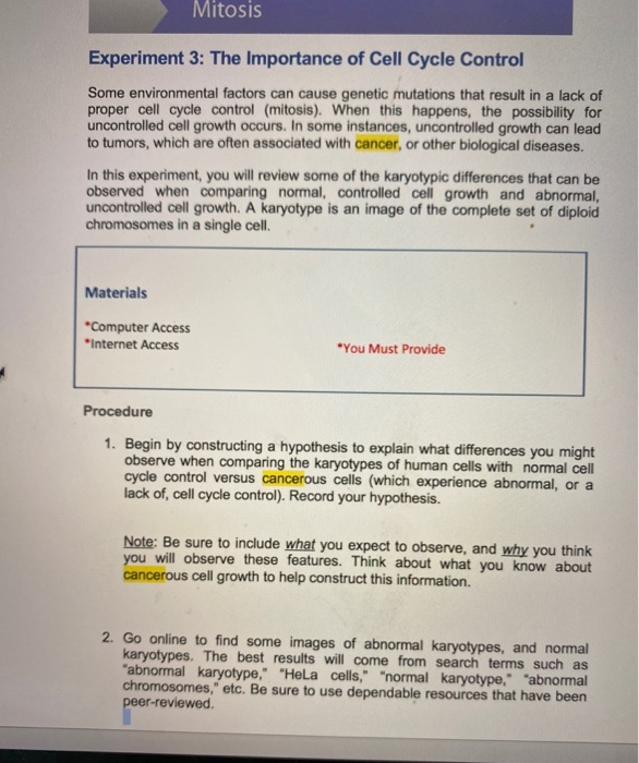 Solved Mitosis Experiment 3 The Importance of Cell Cycle