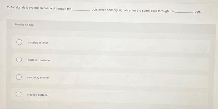 Motor signals leave the spinal cord through the roots, while sensory signals enter the spinal cord through the roots. Mutiple