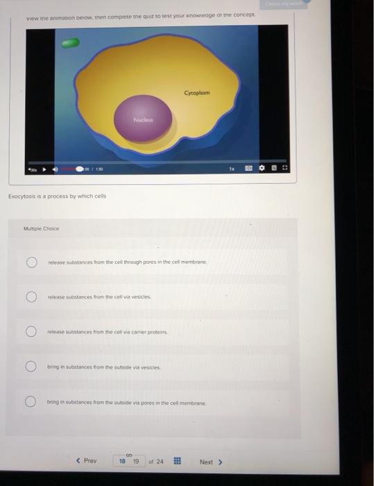 Solved View The Armation Below Men Competene To Test Your Chegg Com