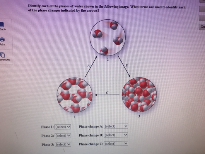 solved-identify-each-of-the-phases-of-water-shown-in-the-chegg