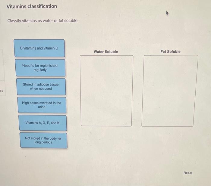 Solved Vitamins classification Classify vitamins as water or