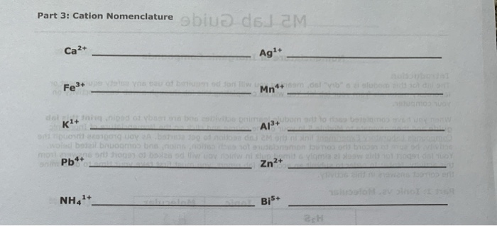 solved-part-3-cation-nomenclature-biva-del-am-ca2-ag-fe3-chegg