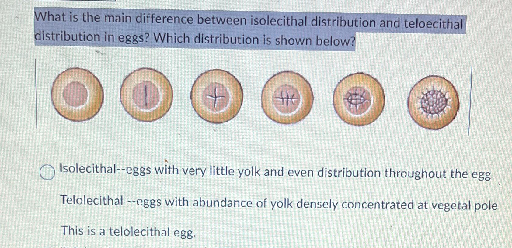 Solved What is the main difference between isolecithal