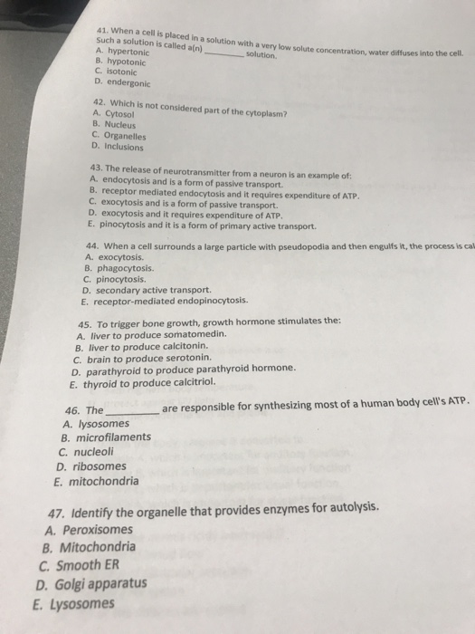 Solved 41 When A Cell Is Placed In A Solution With A Very Chegg Com