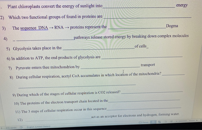 Solved . Plant chloroplasts convert the energy of sunlight | Chegg.com