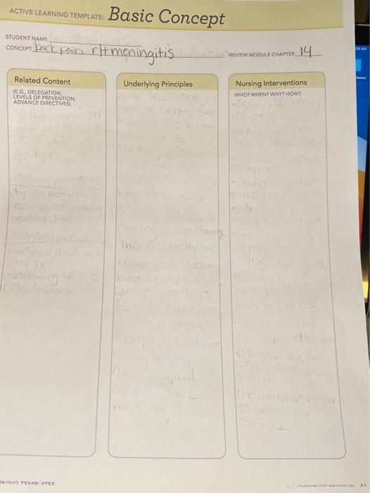 Solved ACTIVE LEARNING TEMPLATE Basic Concept STUDENT NAME | Chegg.com