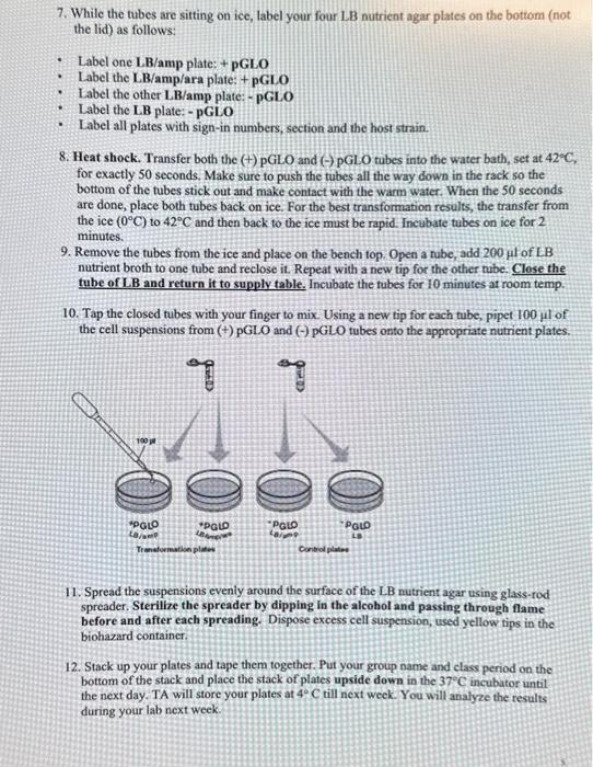 Solved Section B (Part 1 And 2) Should Be Included In Your | Chegg.com