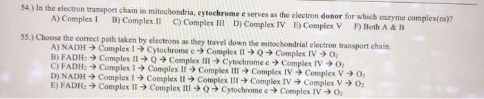 Solved 54.) In the electron transport chain in mitochondria, | Chegg.com