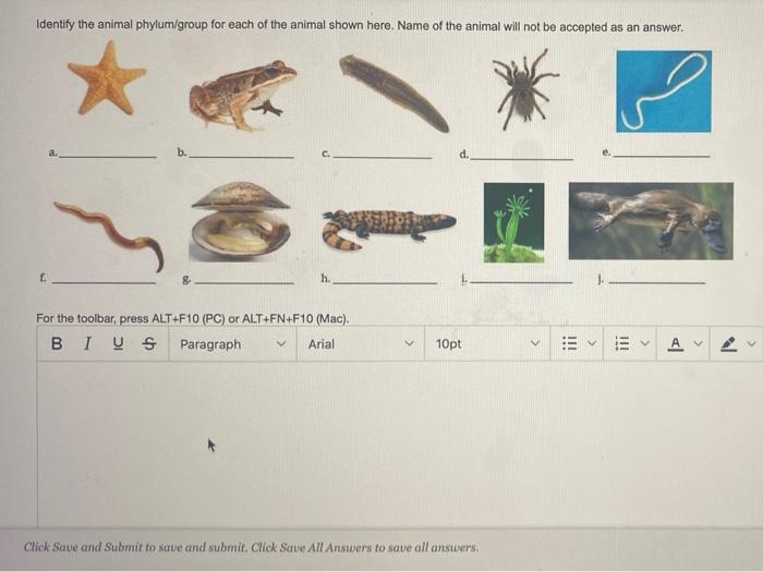 Solved Identify the animal phylum/group for each of the 