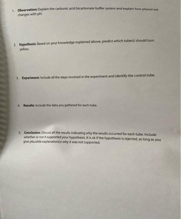 1. Observation: Explain the carbonic acid bicarbonate buffer system and explain how phenol red changes with pH. 2. Hypothesis