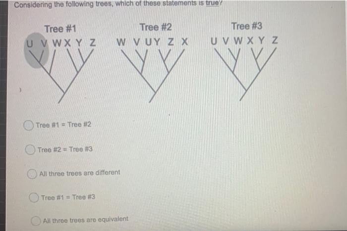 Solved At which point on the phylogenetic tree shown did | Chegg.com