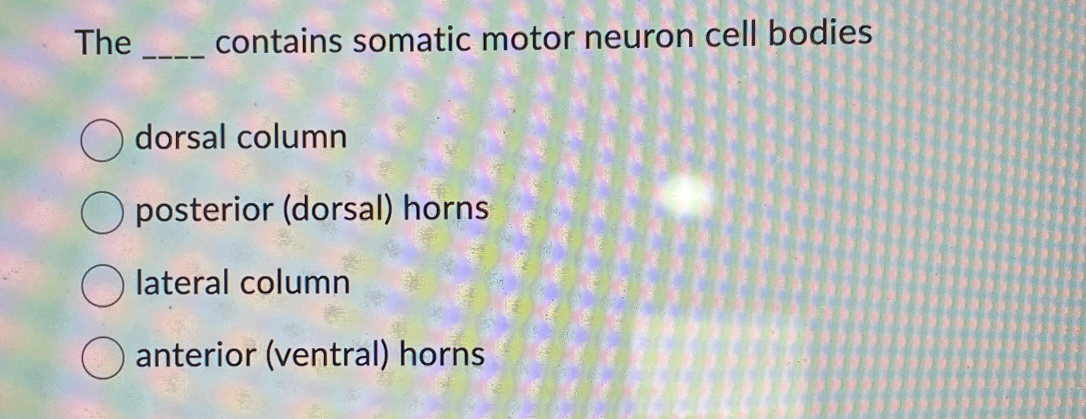 Solved The q, ﻿contains somatic motor neuron cell | Chegg.com