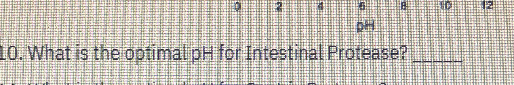 Solved What is the optimal pH for Intestinal Protease? | Chegg.com