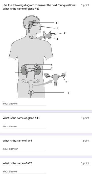 Solved Use the following diagram to answer the next four | Chegg.com