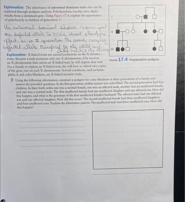Solved 11 Explanation: The inheritance of autosomal dominant | Chegg.com