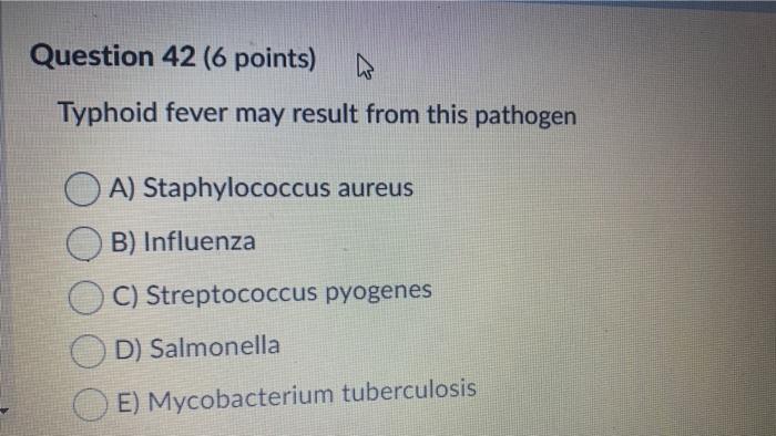 Question 42 (6 points) Typhoid fever may result from this pathogen O A) Staphylococcus aureus B) Influenza C) Streptococcus p