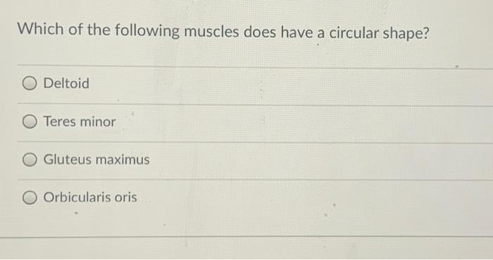 Solved Which of the following muscles does have a circular Chegg