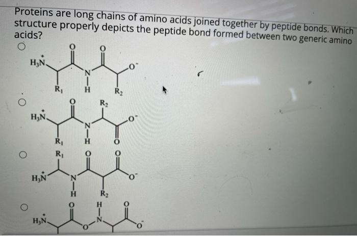 Solved Proteins are long chains of amino acids joined | Chegg.com