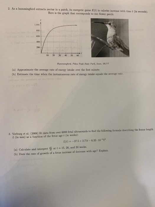Solved 2 As A Hummingbird Extracts Nectar In A Patch Its Chegg