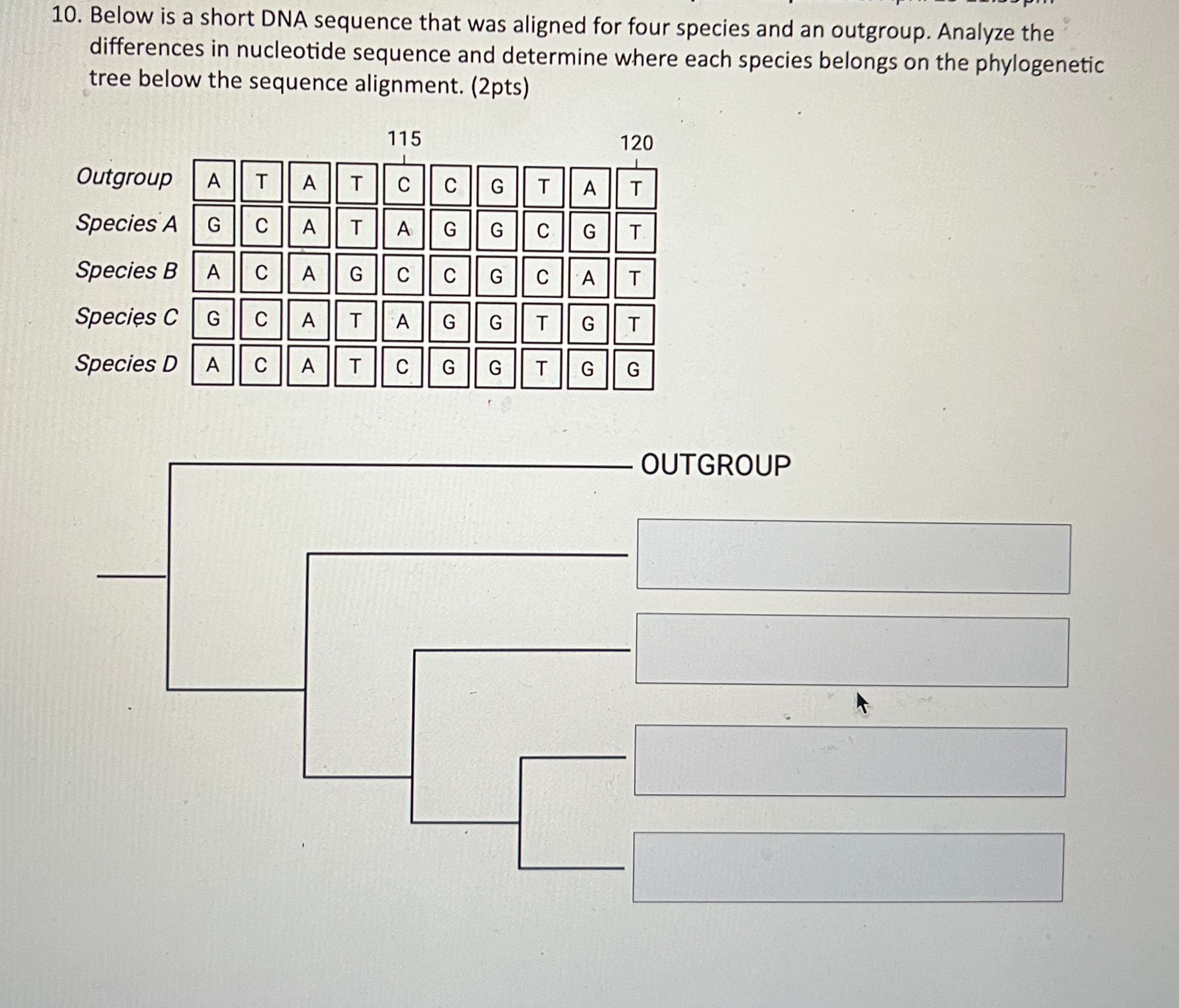 Solved Below is a short DNA sequence that was aligned for | Chegg.com