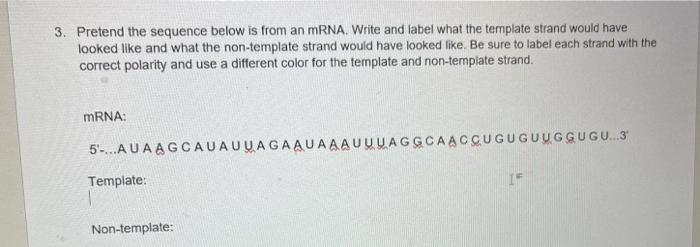 Solved Pretend the sequence below is from an MRNA. Write and | Chegg.com