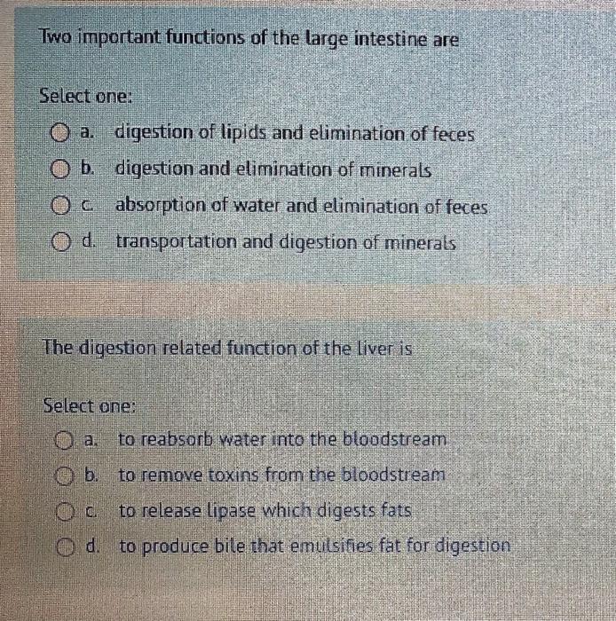 Solved Match each macromolecule with the enzyme that aids in