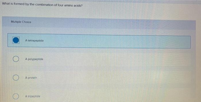 What is formed by the combination of four amino | Chegg.com