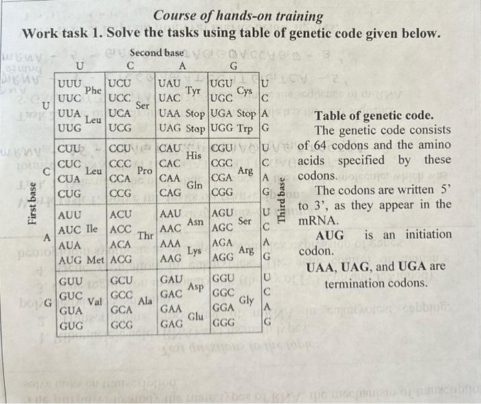 Solved Course of hands-on training Work task 1. Solve the | Chegg.com