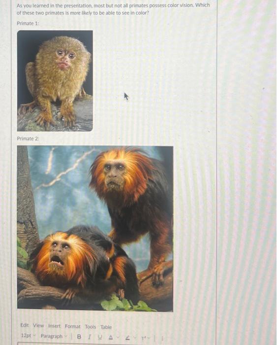 As you learned in the presentation, most but not all