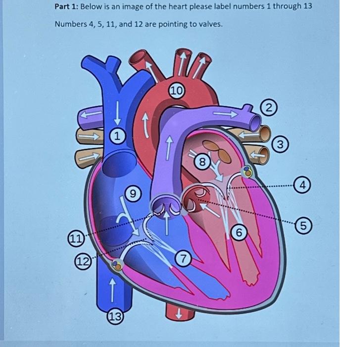 student submitted image, transcription available below