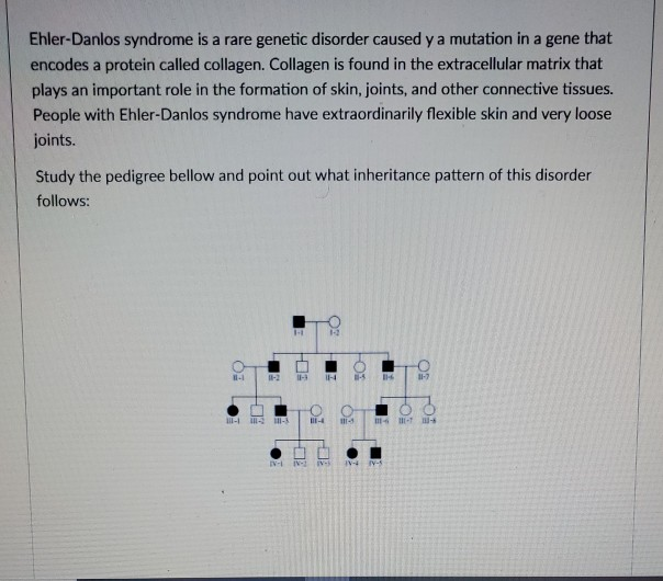solved-ehler-danlos-syndrome-is-a-rare-genetic-disorder-chegg